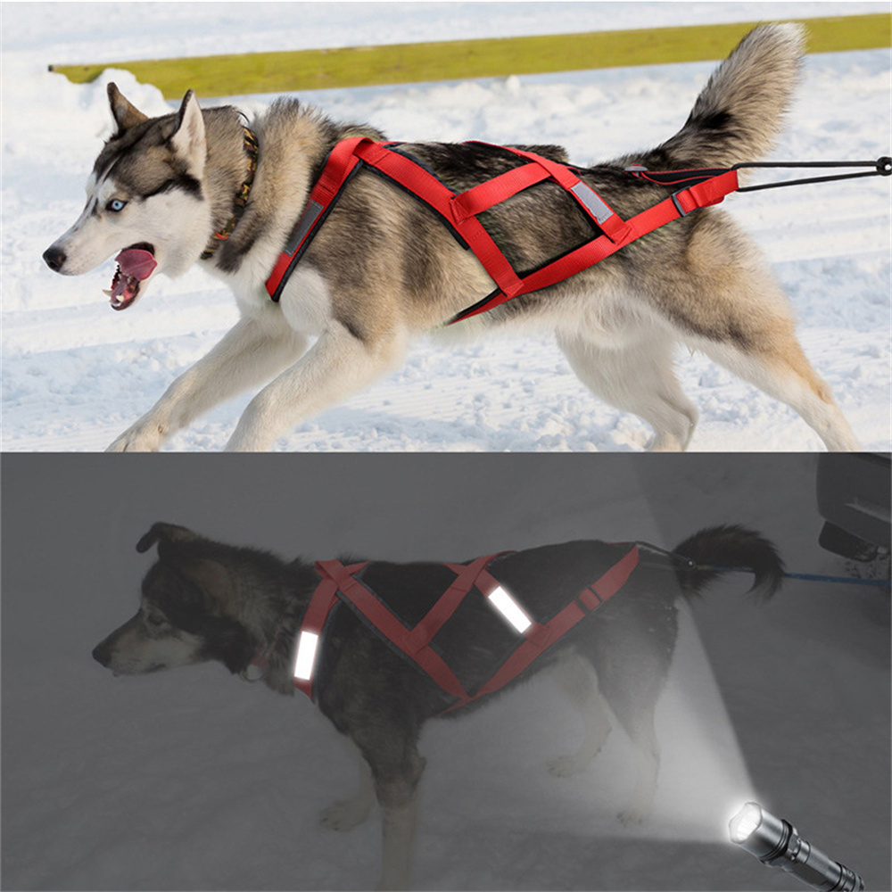 Yüksek Kaliteli Büyük Köpek Kı - Reflective Jacket Running incelemesi ve fiyatı